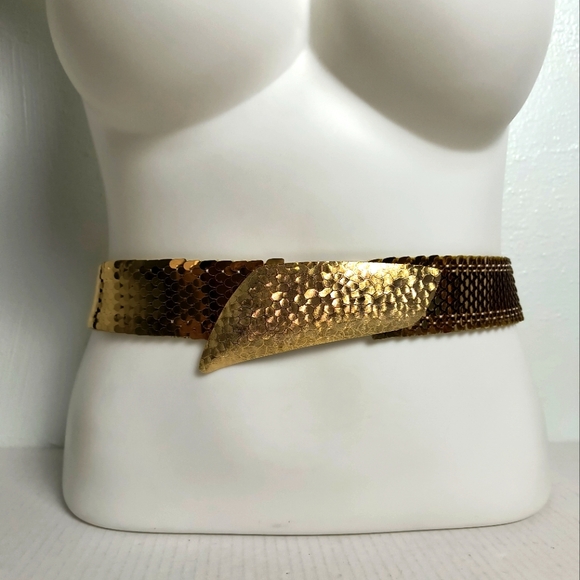 Statement Vintage Gold Metal Snake Belt Stretch main image 16
